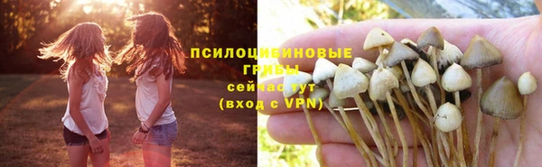 каннабис Горно-Алтайск