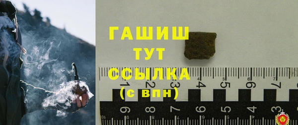 прущий лед Вяземский