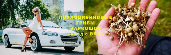 герыч Горняк